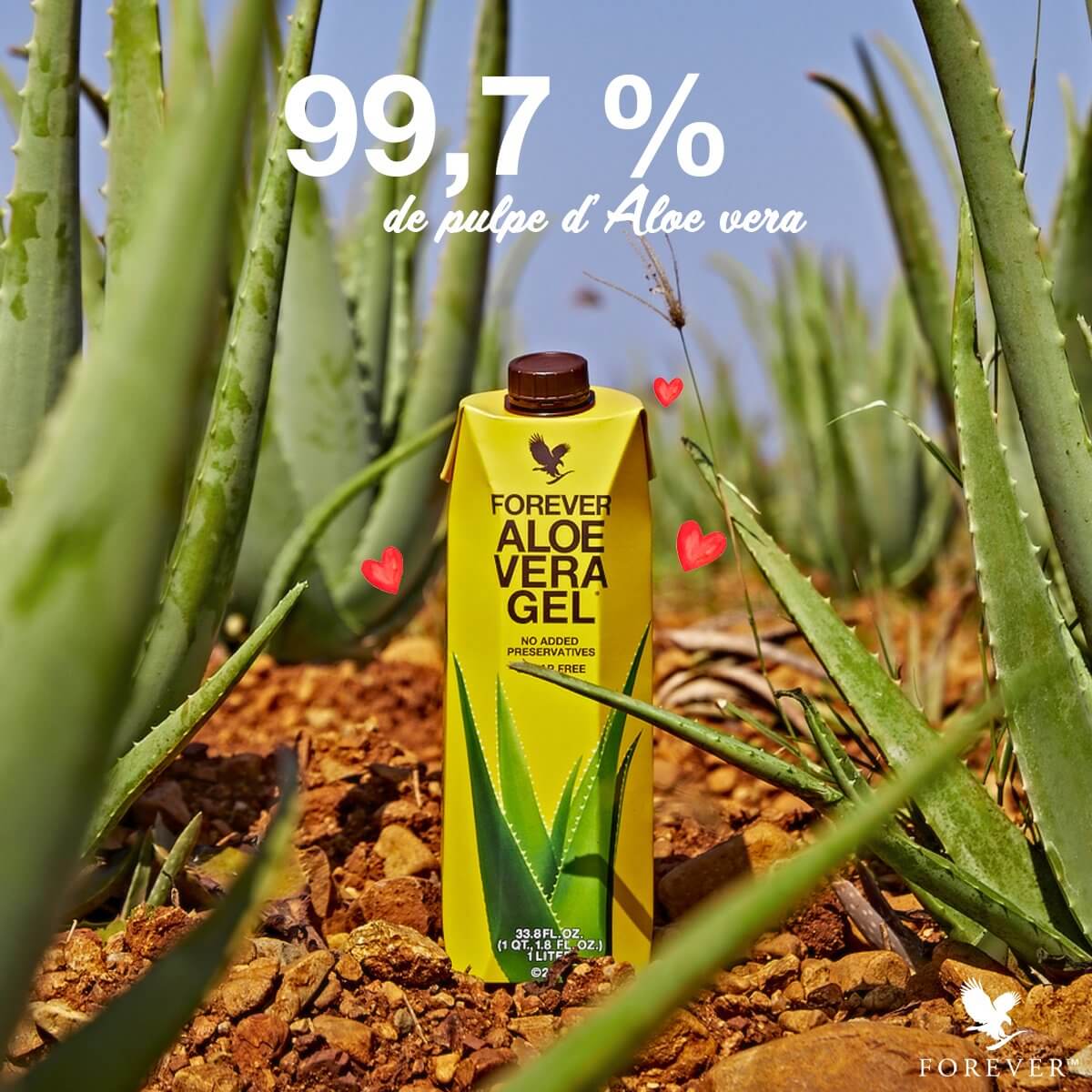 Aloe Vera Drinks